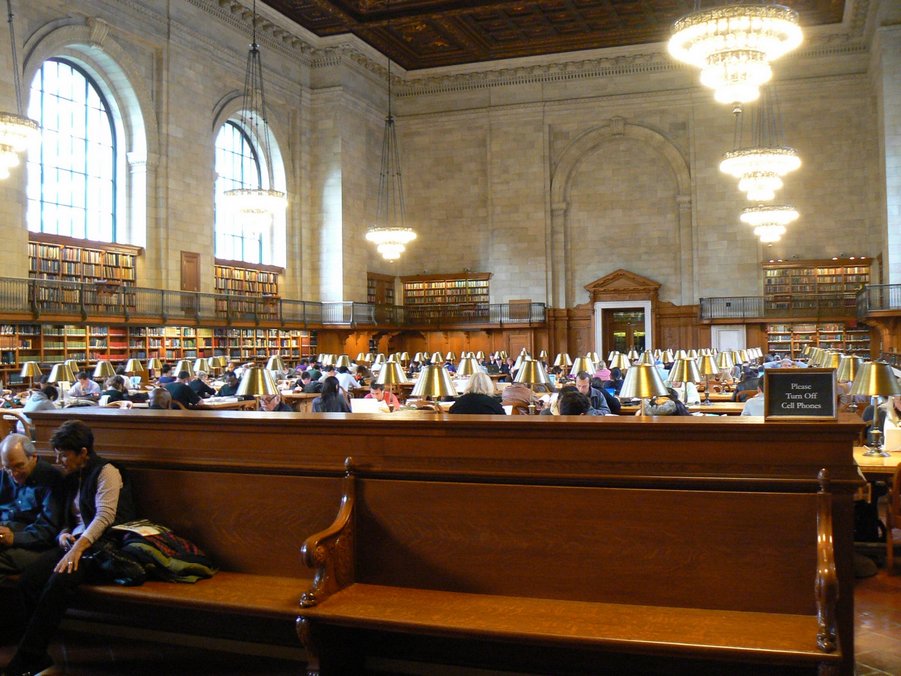 The New York Public Library: The New York Public Library 009